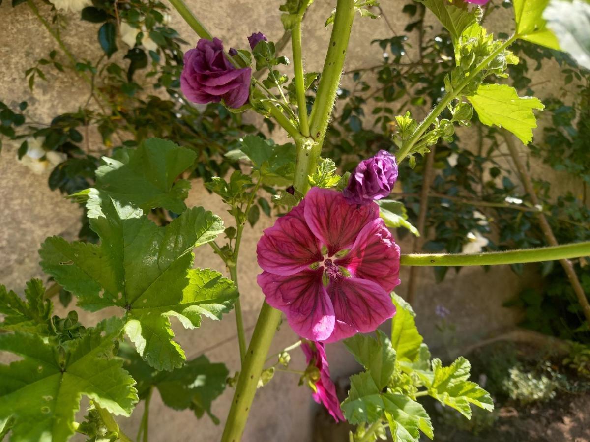 Maison Violette En Berry Aigurande Екстер'єр фото